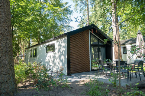 Acogedora cabaña Berkel 4 en medio del bosque, con muebles de exterior y grandes ventanales al sol.