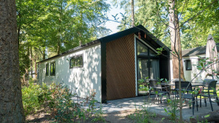 Moderne Berkel 4 lodge in een groene bosomgeving, met tuinset en grote ramen onder de hoge bomen.