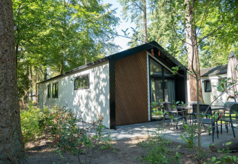 Moderno lodge Berkel 4 immerso nel verde, con patio arredato e grandi finestre circondate dagli alberi.