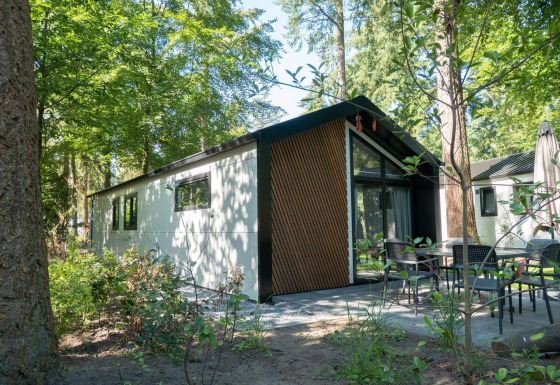Moderne Berkel 4 lodge in een bosrijke omgeving met terras, tuinmeubilair en grote ramen in het zonlicht.