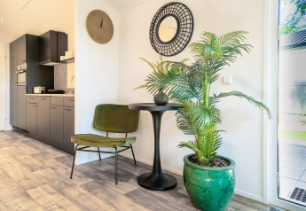 Intérieur de lodge moderne avec chaise verte, table noire, grande plante et cuisine, à De Utrechtse Heuvelrug.