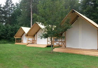 Tre glamping telte ved Glampingtent 6 på De Utrechtse Heuvelrug i Holland, omgivet af grønne træer og græs.