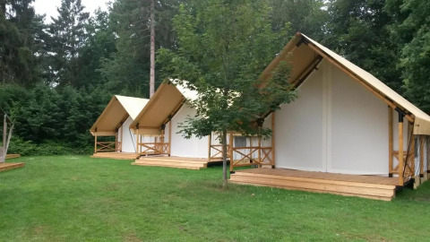 Tre glamping telte ved Glampingtent 6 på De Utrechtse Heuvelrug i Holland, omgivet af grønne træer og græs.