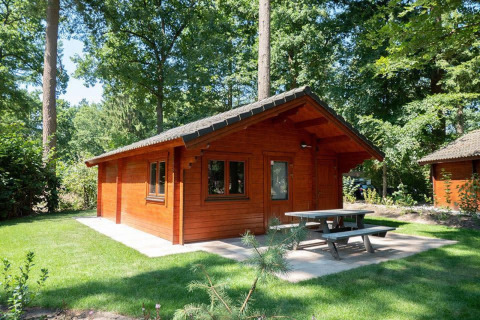 Klein houten huisje Boekhorst 4, omgeven door groene bomen en gras, met picknicktafel buiten op het terras.