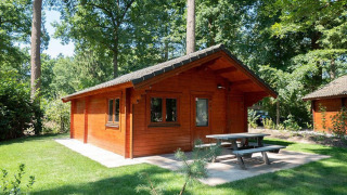 Pequeña casa de madera llamada Boekhorst 4, rodeada de árboles verdes y césped, con mesa de picnic afuera.
