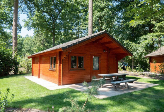 Klein houten huisje Boekhorst 4, omgeven door groene bomen en gras, met picknicktafel buiten op het terras.