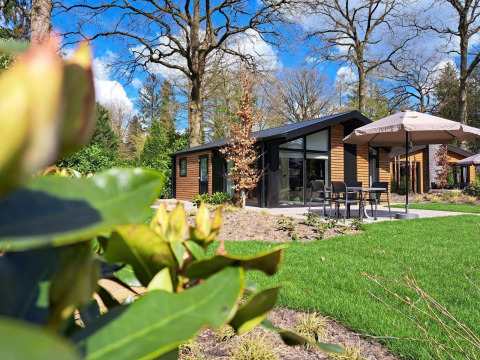 Moderna cabaña Hackfort 4 en De Utrechtse Heuvelrug, Países Bajos, con terraza y rodeada de naturaleza.
