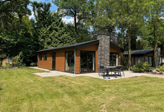 Modern lodge Hackfort Wood Hottub 6 at De Utrechtse Heuvelrug, the Netherlands, surrounded by green trees.