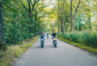 Un grupo conduce scooters eléctricos por un camino boscoso cerca de una cabaña en un día soleado.