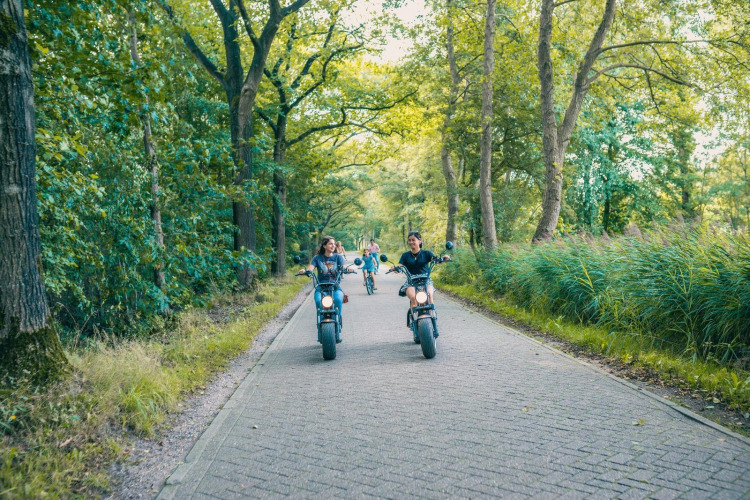 A group rides electric scooters down a scenic forest path near a lodge on a bright and sunny day.