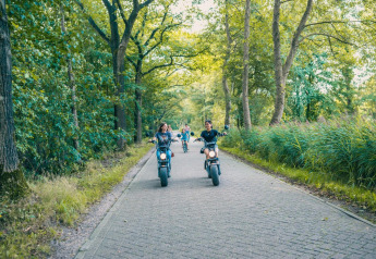 A group rides electric scooters down a scenic forest path near a lodge on a bright and sunny day.