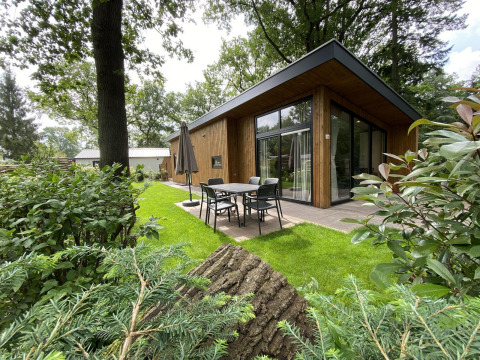 Pavilion 6 lodge with wood paneling, large glass windows, patio furniture, and lush greenery outside.
