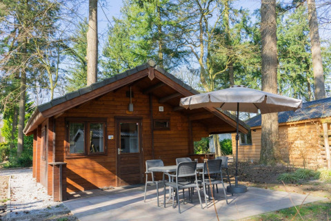Afbeelding van Stuga 4, een gezellige houten chalet met terras, tuinset en parasol midden in het bos.
