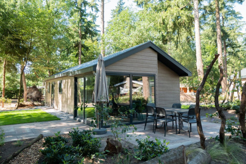 Velthorst 4-lodge in het bos met modern design, grote ramen en een gezellig terras met tuinmeubilair.