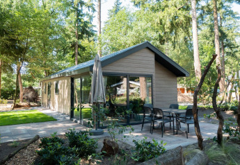Velthorst 4-lodge in het bos met modern design, grote ramen en een gezellig terras met tuinmeubilair.