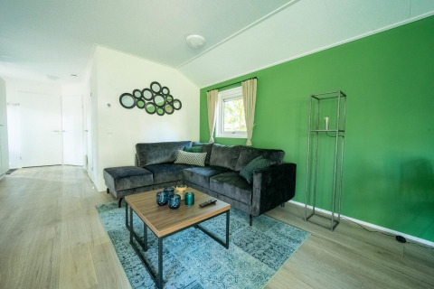 Sala de estar del lodge Velthorst 4 en De Utrechtse Heuvelrug, Países Bajos, con pared verde y sofá gris.