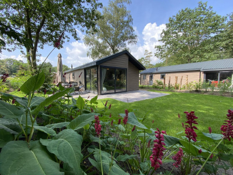 Lodge Velthorst 6 avec grandes fenêtres, terrasse moderne et jardin verdoyant entouré de fleurs et arbres.