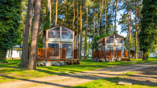 To Air Lodge hytter i en solrig skov med træterrasser, omgivet af høje fyrretræer og grøn græsplæne.