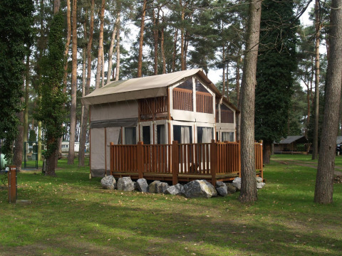 Foto van de Air Lodge bij Hoge Kempen in België, omringd door hoge bomen en een grasveld.