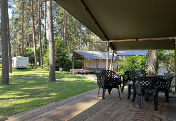Uitzicht vanaf een overdekt terras met plastic stoelen op een glamping, omgeven door bomen en tenten.