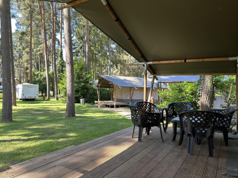 Udsigt fra en overdækket terrasse med plastikstole på en glampingplads omgivet af træer og telte.
