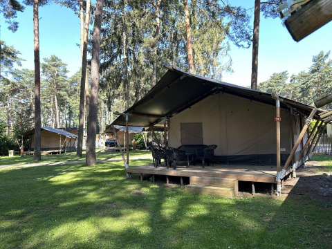 Un alojamiento glamping en el bosque con tiendas grandes sobre plataformas de madera, mesa y sillas.