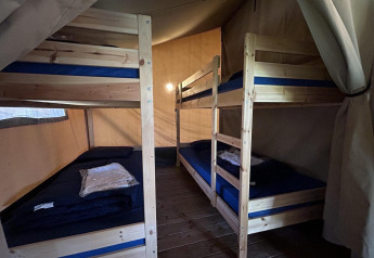 Interieur van het Bergerven Lodge safaritent in Hoge Kempen, België, met stapelbedden en houten vloer.