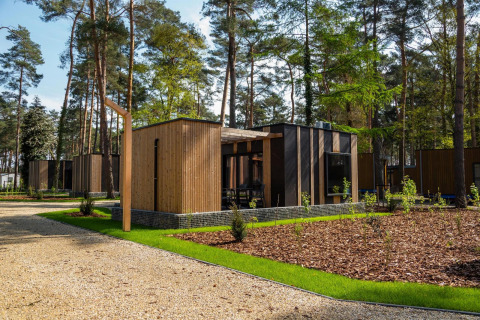 Petites maisons modernes nommées Forest Cottage situées dans une forêt verdoyante entourée de chemins et arbres.