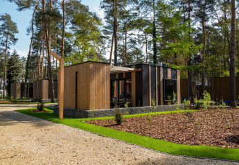 Moderne tiny houses kaldet Forest Cottage ligger i en frodig skov, omgivet af grønne træer og stier.