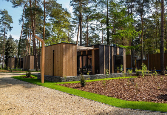 Moderne tiny houses kaldet Forest Cottage ligger i en frodig skov, omgivet af grønne træer og stier.
