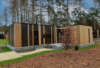 Casa pequeña y moderna Forest Cottage en Hoge Kempen, Bélgica, con fachada de madera y piedra en el bosque.