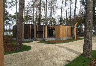 Modernes Tiny House, Forest Cottage, Hoge Kempen, Belgien, umgeben von Kiefern und Gehweg.