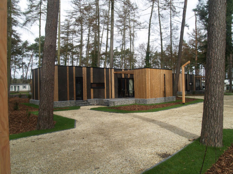 Modernes Tiny House, Forest Cottage, Hoge Kempen, Belgien, umgeben von Kiefern und Gehweg.
