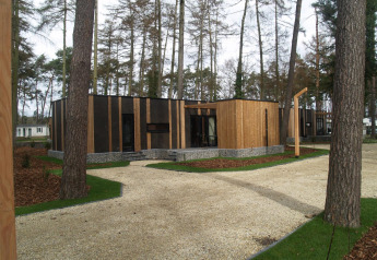 Moderne tiny house, Forest Cottage, i Hoge Kempen, Belgien, omgivet af høje træer og grussti.