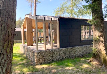Panorama Cottage, een tiny house met glazen wanden en terras, omringd door bomen en zonlicht.