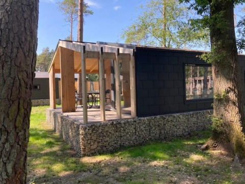 Panorama Cottage, une tiny house moderne avec terrasse, vitrée et entourée d’arbres en plein soleil.