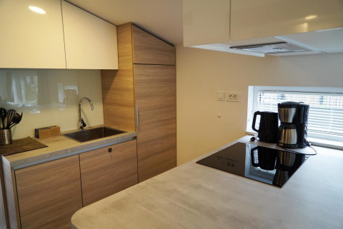 Kitchenette moderne au Panorama Cottage à Hoge Kempen, Belgique, avec plaque de cuisson et cafetière.