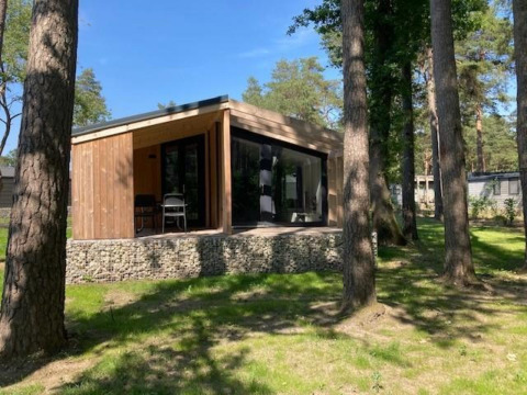 Moderne Panorama Cottage tiny house in Hoge Kempen, België, omgeven door hoge bomen en groen.