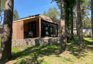 Moderna casa pequeña Panorama Cottage en Hoge Kempen, Bélgica, rodeada de altos árboles y vegetación natural.
