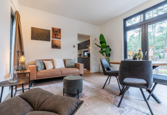 Sala de estar de lodge moderno con sofá marrón, grandes ventanas, comedor y plantas verdes.