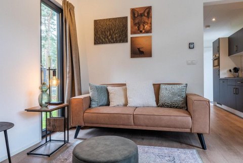 Acogedora sala de lodge con sofá marrón, cojines decorativos, muebles modernos y cuadros de naturaleza.