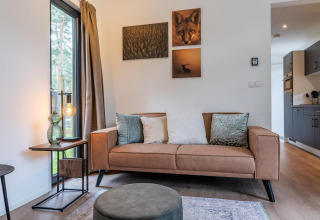 Acogedora sala de lodge con sofá marrón, cojines decorativos, muebles modernos y cuadros de naturaleza.