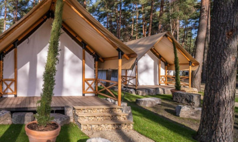 Deux tentes du Papendaal lodge installées en forêt, entourées d’arbres, pierres et pelouse verte.