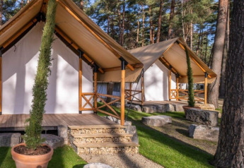 Dos tiendas de Papendaal lodge en el bosque, rodeadas de árboles altos, césped y grandes rocas.