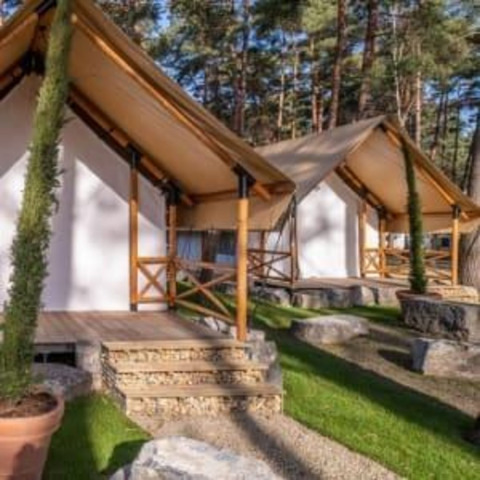 Papendaal lodge safaritent in Hoge Kempen, België, omgeven door bomen, gras en stenen paden.