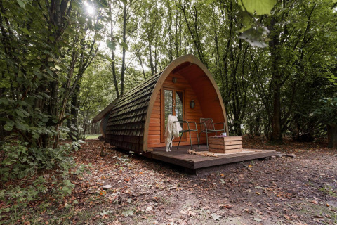 Acogedora cabaña Duo pød en RØSTIG Dorst, Países Bajos, rodeada de árboles en un bosque tranquilo.