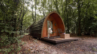 Cabane Duo pød confortable à RØSTIG Dorst aux Pays-Bas, entourée d’arbres dans une forêt paisible.