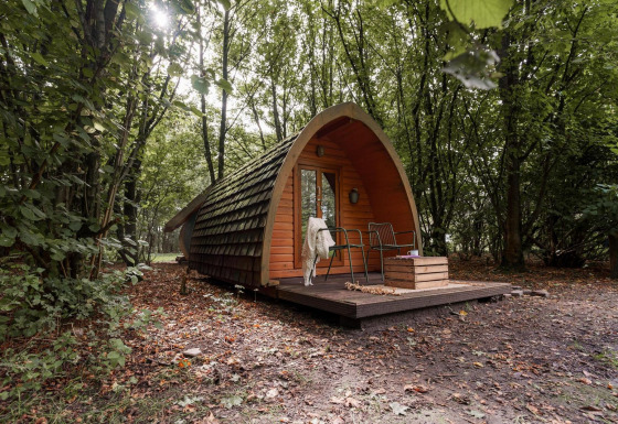 Cozy Duo pød cabin at RØSTIG Dorst, Netherlands, nestled among trees in a tranquil forest setting.
