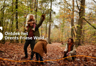Una famiglia esplora la foresta Drents-Friese Wold vicino a Unbrick One | Sauna a Brinckerduyn, Paesi Bassi.