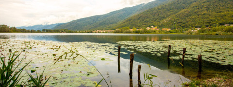 Vista del lago al Camping Al Lago di Lago in Veneto, Italia, con montagne e ninfee in primo piano.